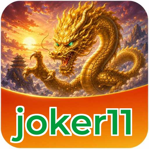 Privacy & Security joker11